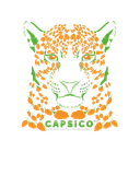 Capsico