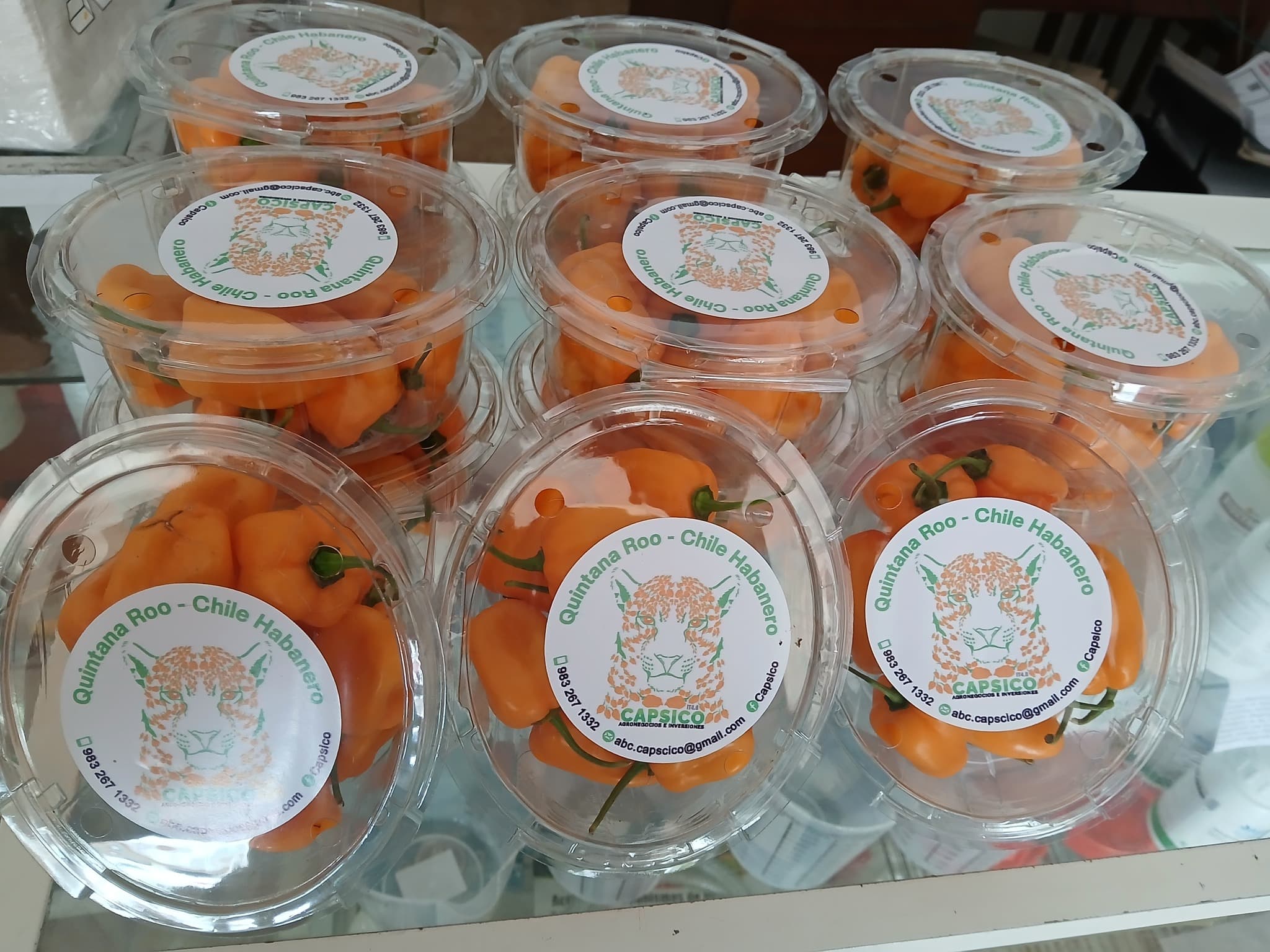 Clamshell habanero 12 pack