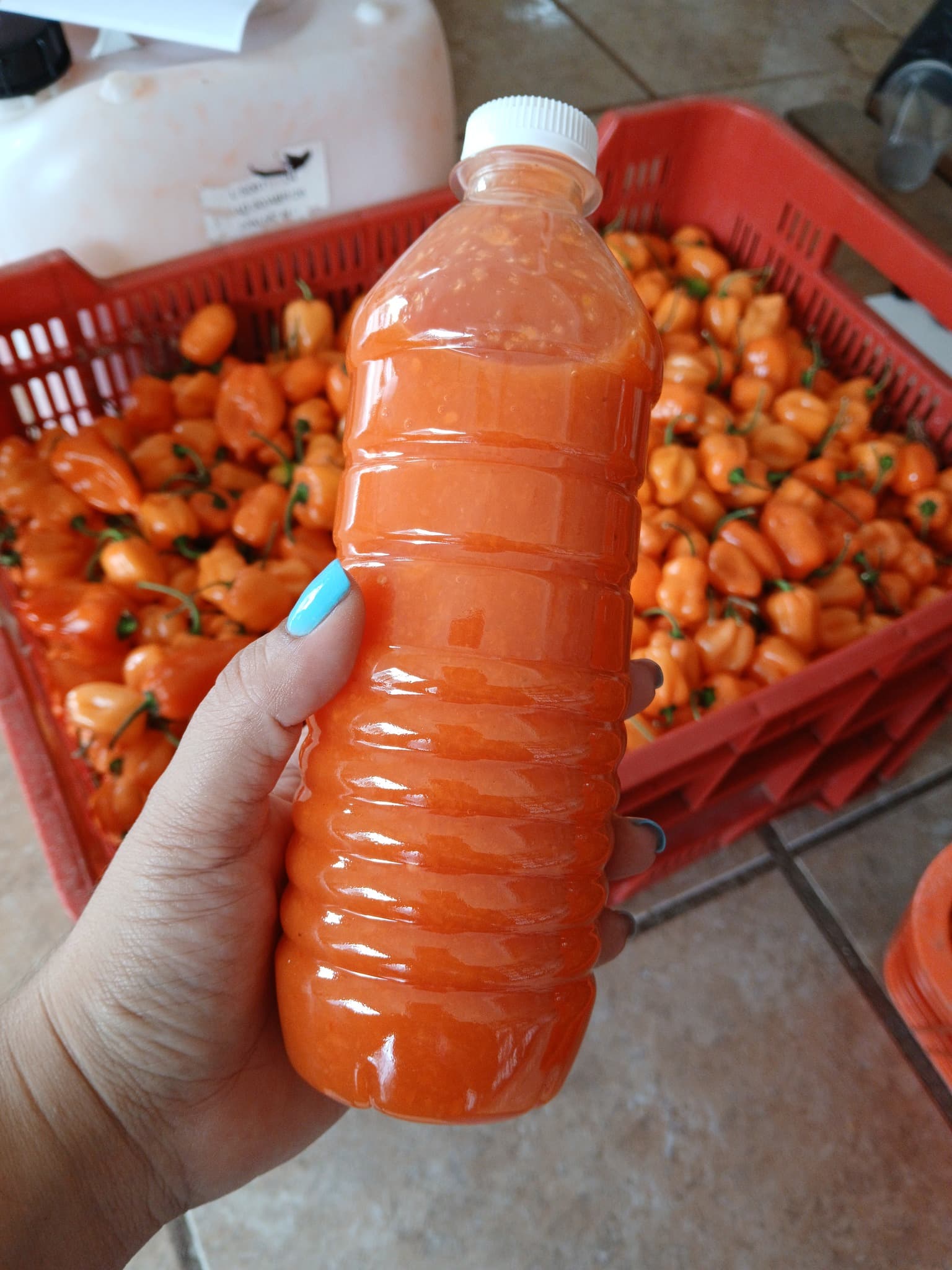 Salsa chile habanero 1/2 Lt